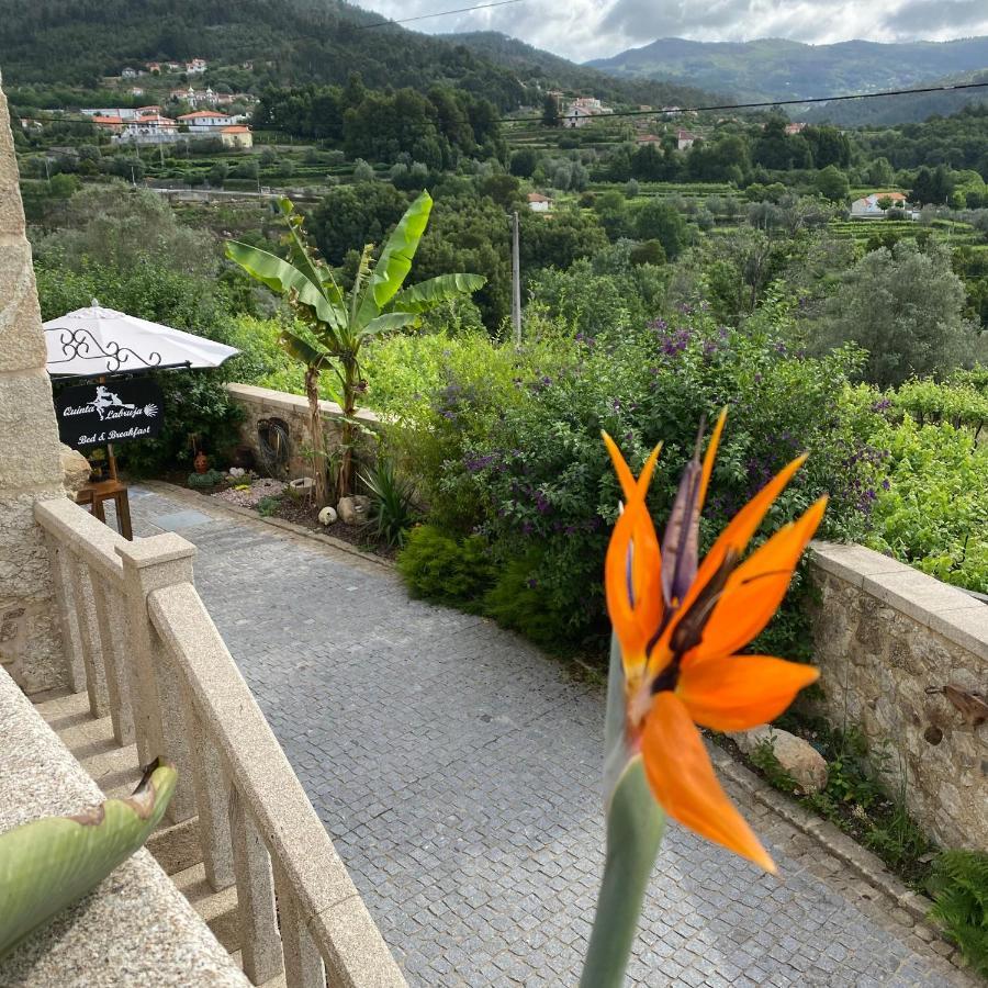 Quinta Labruja Bed & Breakfast Labrujo Exterior photo
